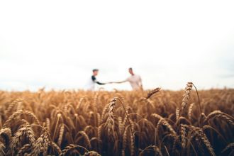 Speranta TV | Agricultorii afectați de secetă vor putea cere suspendarea ratelor la bănci până la finalul acestui an