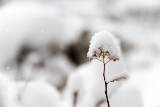 Speranta TV | Atenţionare de călătorie în Bulgaria: Restricţii de circulaţie, coduri meteo de vânt puternic şi precipitaţii