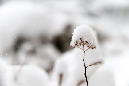 Speranta TV | Atenţionare de călătorie în Bulgaria: Restricţii de circulaţie, coduri meteo de vânt puternic şi precipitaţii