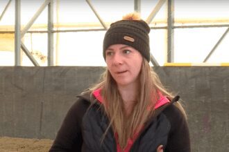 Speranta TV | Căsuța cu idei | Echitație - Descoperim universul cailor | Maria Alifantis, Ioana Glodarenco