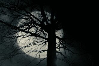 Speranta TV | A doua opinie - Eclipsa de soare - un semn al sfârșitului? - Invitați: Abel Noață, Lucian Floricel