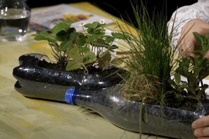 Speranta TV | Căsuța cu idei - Activități cu materiale reciclabile - Invitat: Bianca Timșa - Stoicescu