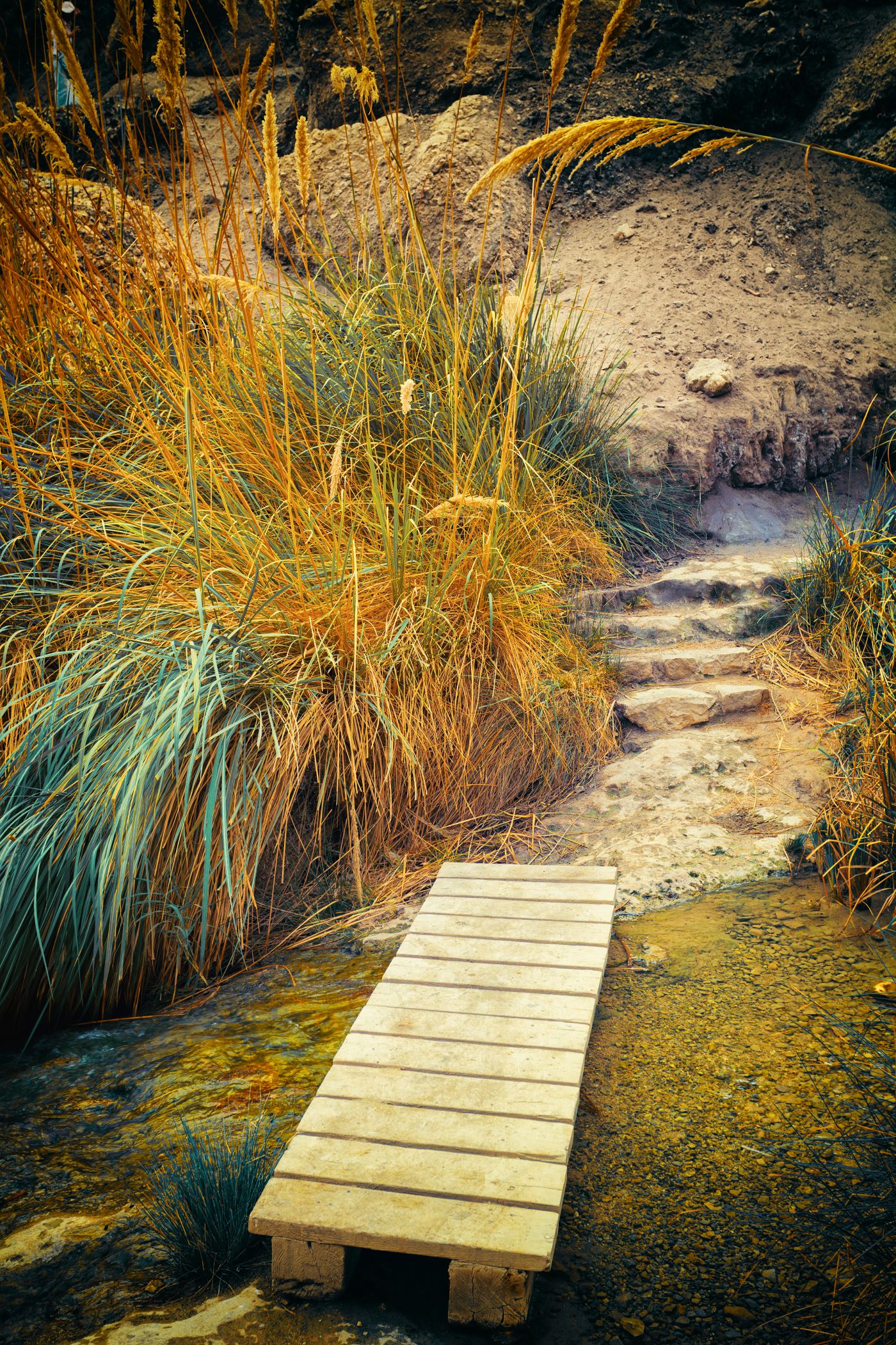 Speranta TV | Un nou parc natural în nordul Bucureștiului: Valea Saulei