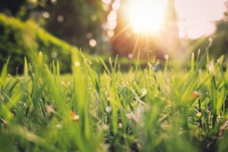 Speranta TV | După o lună martie plină de recorduri, aprilie începe cu temperaturi de august. Anunțul meteorologilor