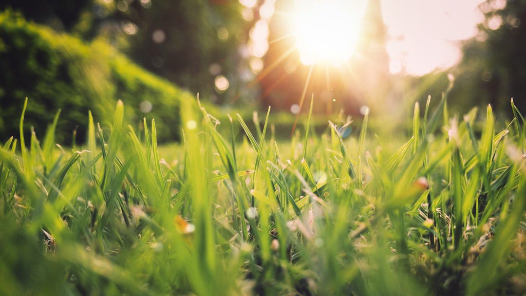 Speranta TV | După o lună martie plină de recorduri, aprilie începe cu temperaturi de august. Anunțul meteorologilor