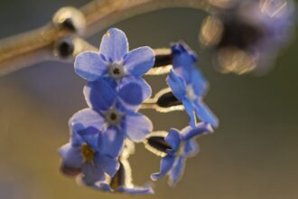 Speranta TV | DEVOȚIONAL: ESTE TIMPUL PENTRU SCHIMBARE
