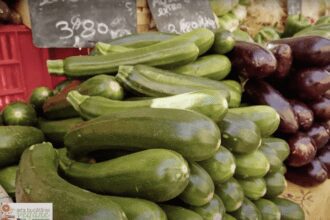 Speranta TV | Arta bucatariei: Pateu de zucchini