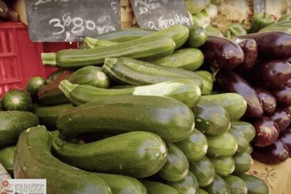 Speranta TV | Arta bucatariei: Pateu de zucchini
