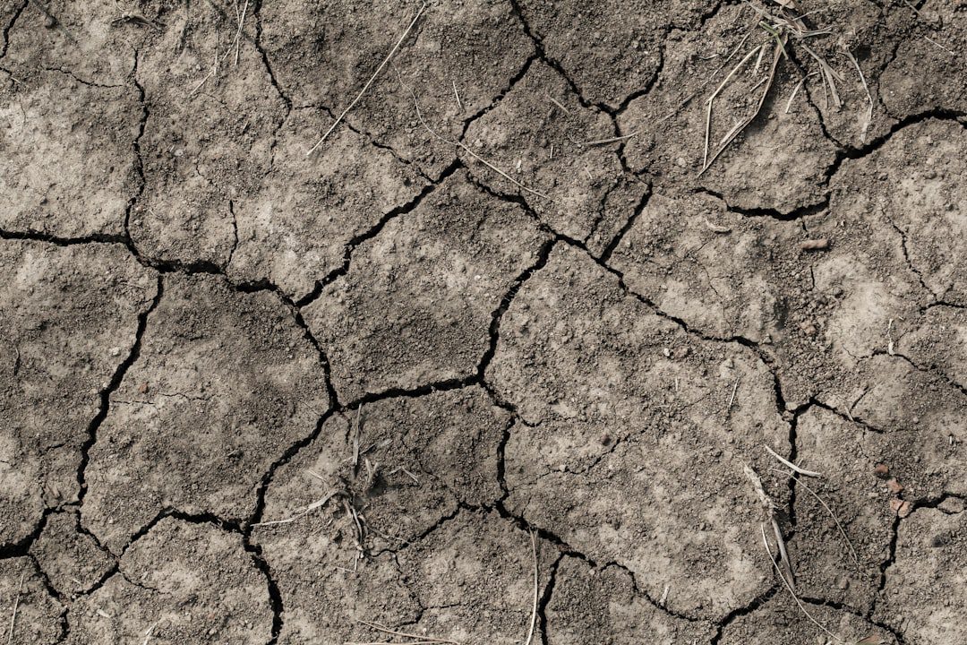 Speranta TV | ANM: Acest an agricol ar putea fi unul dintre cei mai secetoşi din istorie