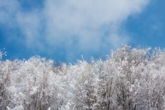 Speranta TV | ANM: Anul se încheie într-o notă mai calmă cu temperaturi în creștere și precipitații puține