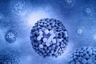 Speranta TV | Dr. Adrian Marinescu, despre hantavirus: Nu există risc de epidemie sau pandemie