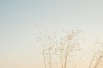 Speranta TV | DEVOȚIONAL: ÎMBRĂCAT ÎN NEPRIHĂNIREA LUI HRISTOS