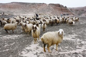 Speranta TV | DEVOȚIONAL: VIAȚA LA SUPERLATIV