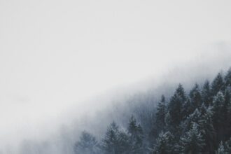Speranta TV | Drumarii au început deszăpezirea pe Transalpina. Zăpada măsoară doi metri în unele zone