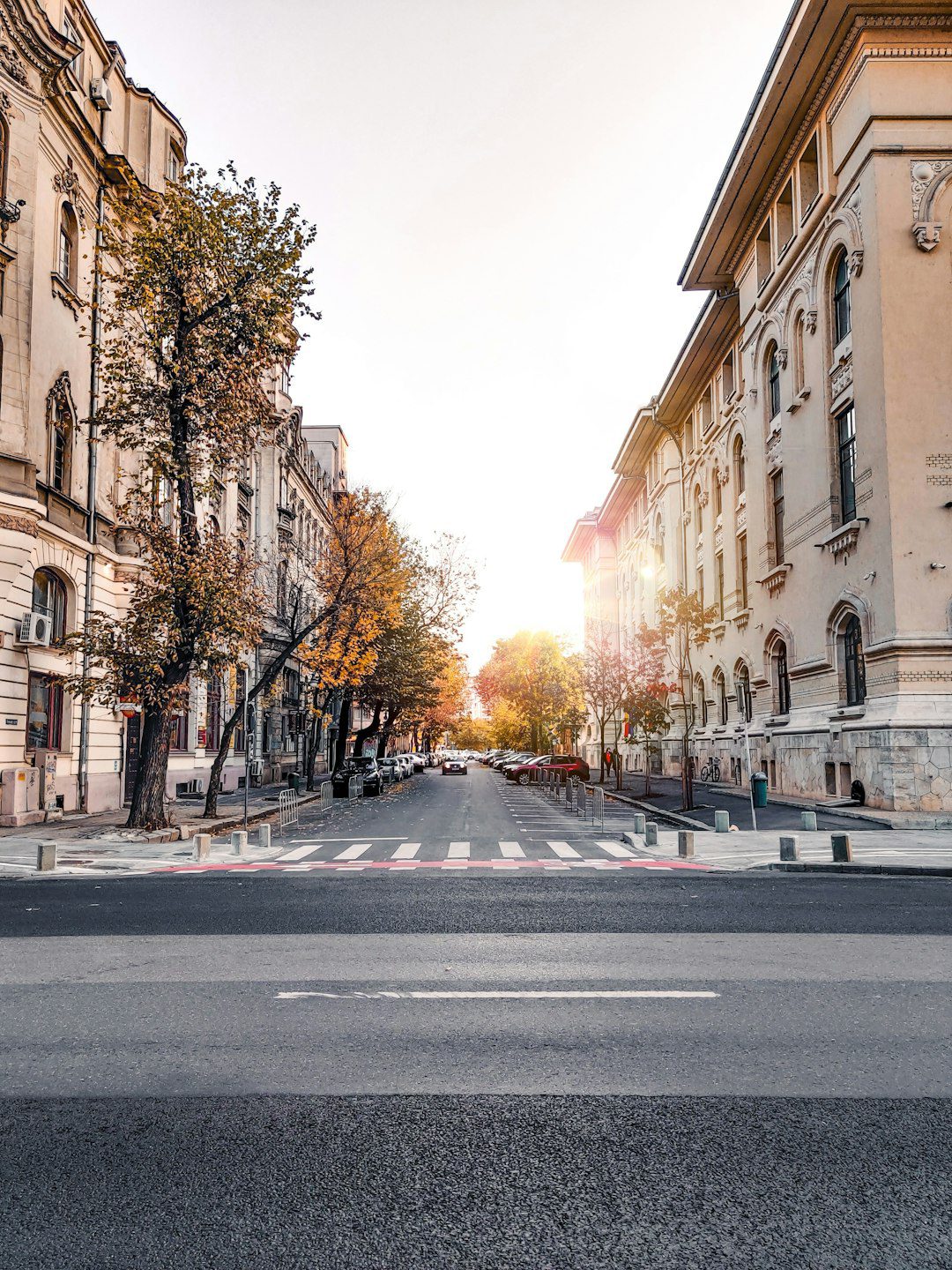 Speranta TV | Ce urmează pentru București după victoria lui Nicușor Dan la prezidențiale