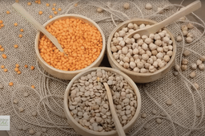 Speranta TV | Arta bucătăriei vegane - Salată rece de mei cu linte verde