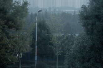 Speranta TV | Furtună puternică și ploaie extremă în Capitală. Străzi sub ape, copaci căzuți și trafic aerian afectat