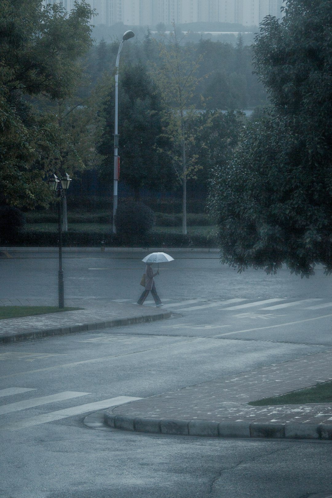 Speranta TV | Furtună puternică și ploaie extremă în Capitală. Străzi sub ape, copaci căzuți și trafic aerian afectat