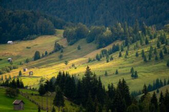 Speranta TV | ANM: Vreme călduroasă în următoarele zile în toată țara. Maxime termice de 35 de grade Celsius