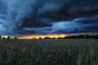 Speranta TV | Localități din șase județe, afectate de fenomenele meteo extreme. Case inundate și drumuri blocate
