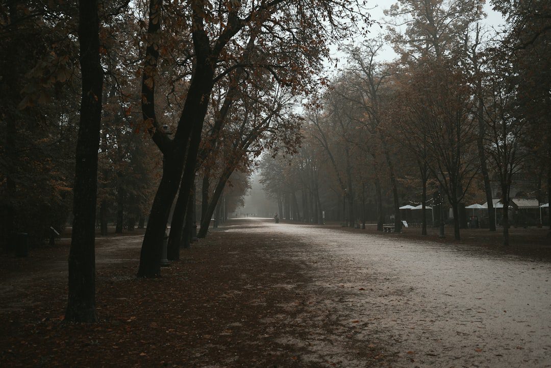 Speranta TV | Furtună la Sinaia. 13 persoane cu diverse traumatisme, transferate la spitale din Ploieşti şi Azuga