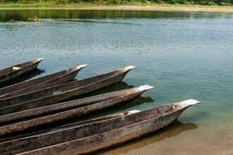 Speranta TV | Imagini șocante pe râul Bistrița: mii de metri cubi de bușteni și deșeuri amenință lacul de la Bicaz