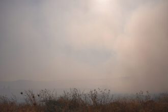 Speranta TV | ANM anunță ce zone din București vor fi cel mai afectate de fumul de la incendiul din Sectorul 2, în funcție de direcția vântului