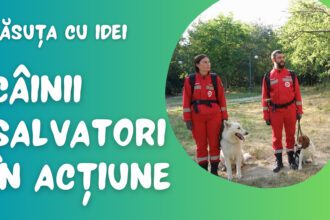 Speranta TV | Căsuța cu idei - Câinii salvatori în acțiune - Invitat: Liviu Ionescu