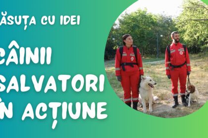 Speranta TV | Căsuța cu idei - Câinii salvatori în acțiune - Invitat: Liviu Ionescu