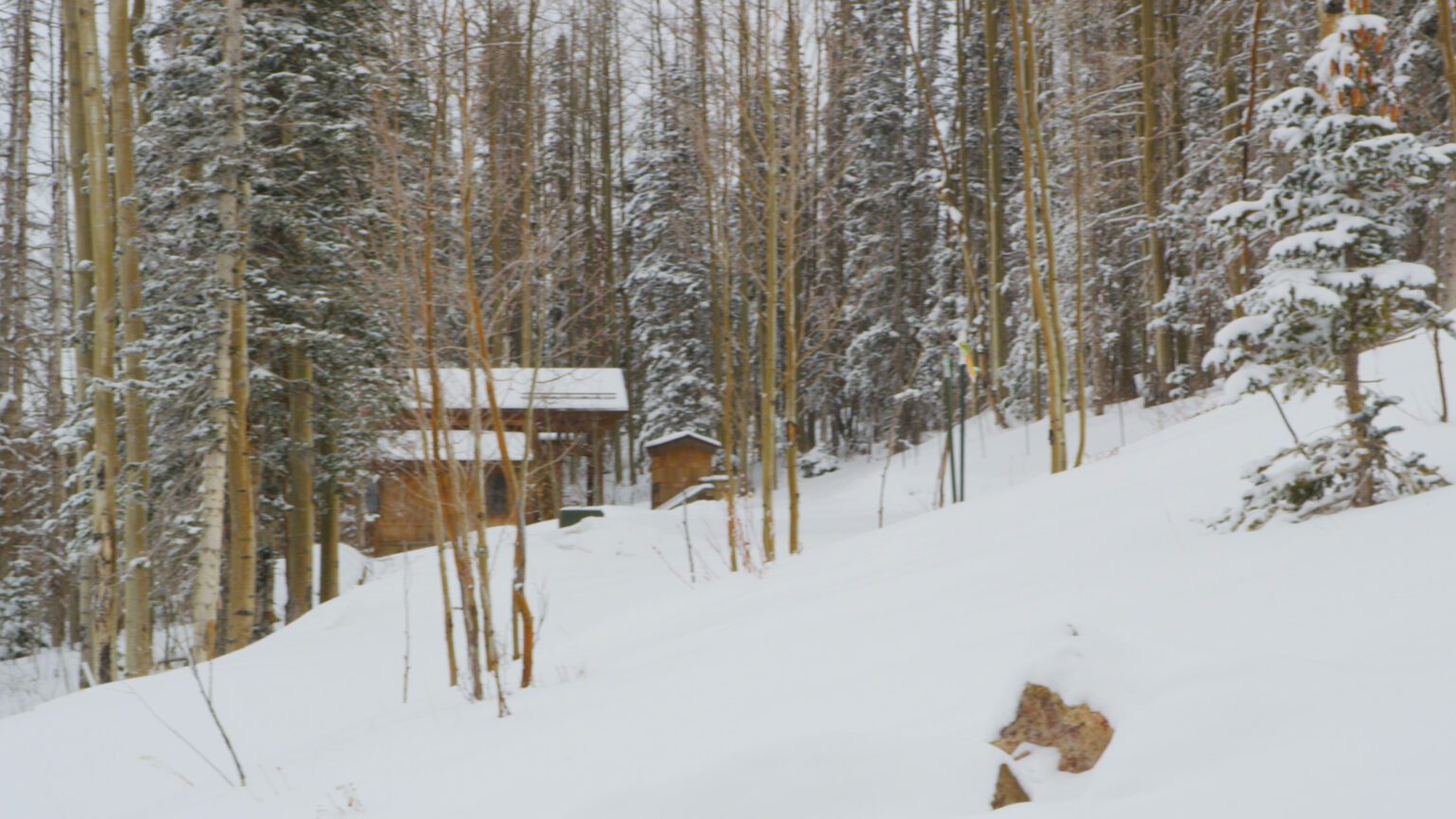 Speranta TV | ANM: Cod galben şi cod portocaliu de ninsori, viscol şi strat de zăpadă, joi şi vineri, în şase judeţe