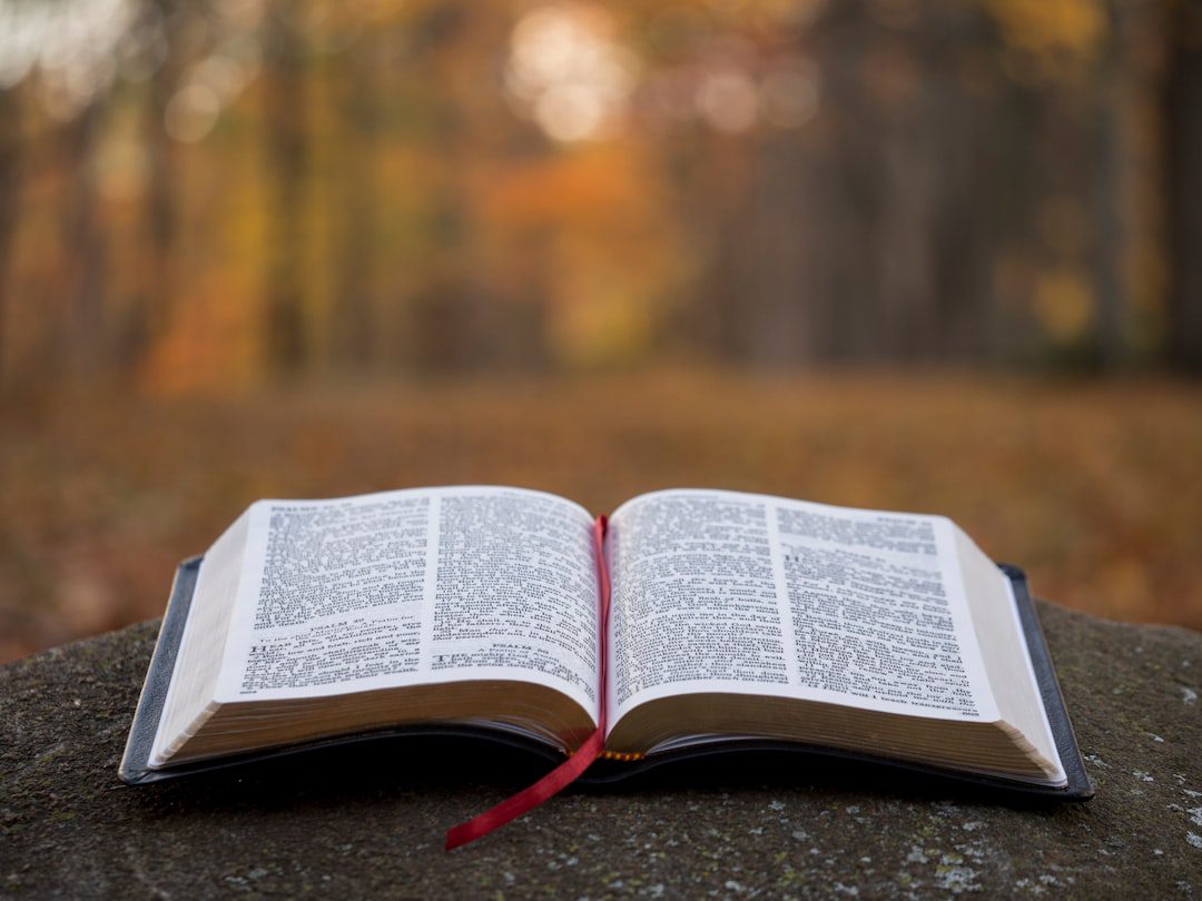 Speranta TV | SPERANȚA TV A LANSAT CAMPANIA „BIBLIA SPUNE”