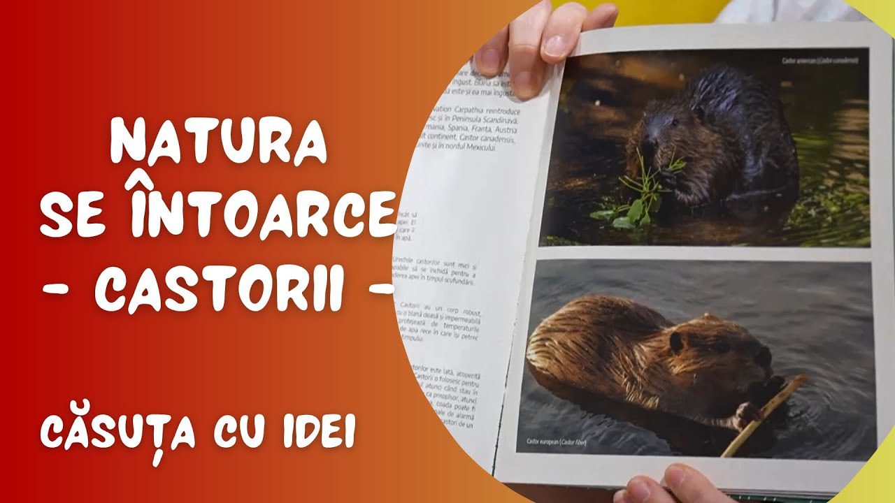 Căsuța cu idei | Natura se întoarce - Ep. 1 | Andreea Oprea