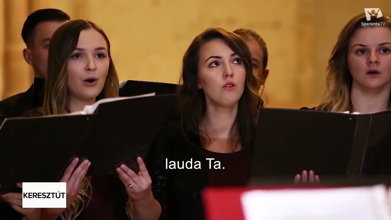 A VIZSGÁLATI ÍTÉLET ÉS A KEGYELMI IDŐ LEZÁRULÁSA | Dr. SZALLÓS-FARKAS ZOLTÁN