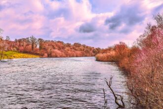 Speranta TV | Zeci de gospodării din Drobeta-Turnu Severin, inundate. Meteorologii anunţă noi precipitaţii în Mehedinţi