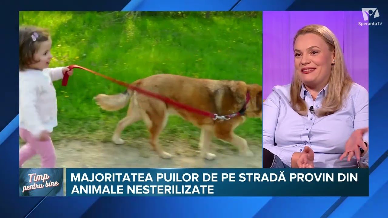 Timp pentru bine | 12 01 2026