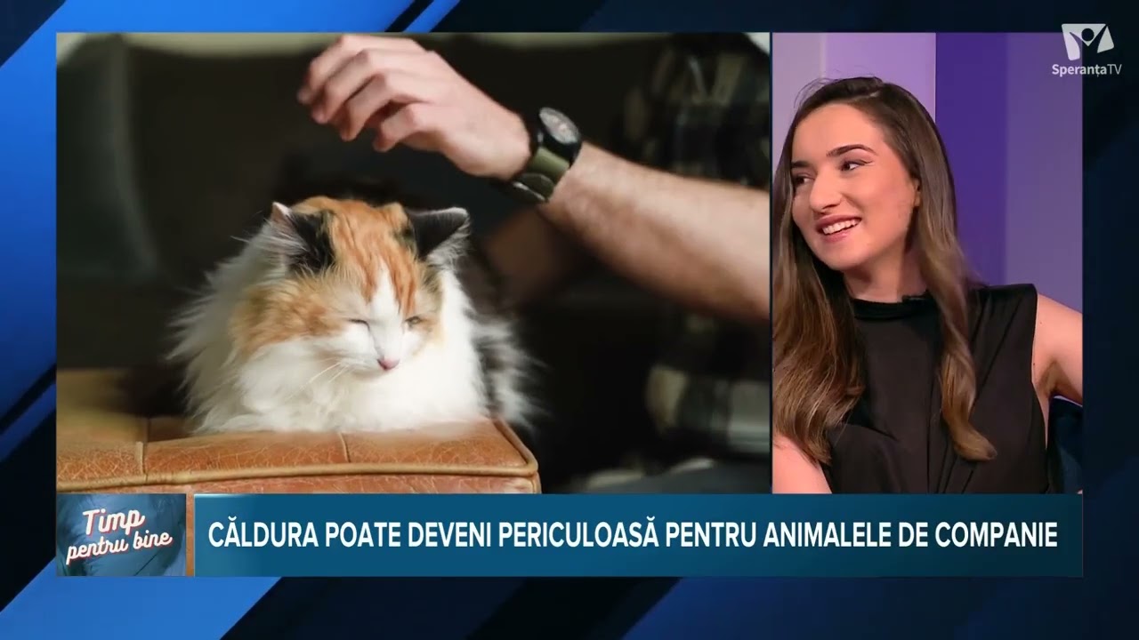 Timp pentru bine | 02 06 2026