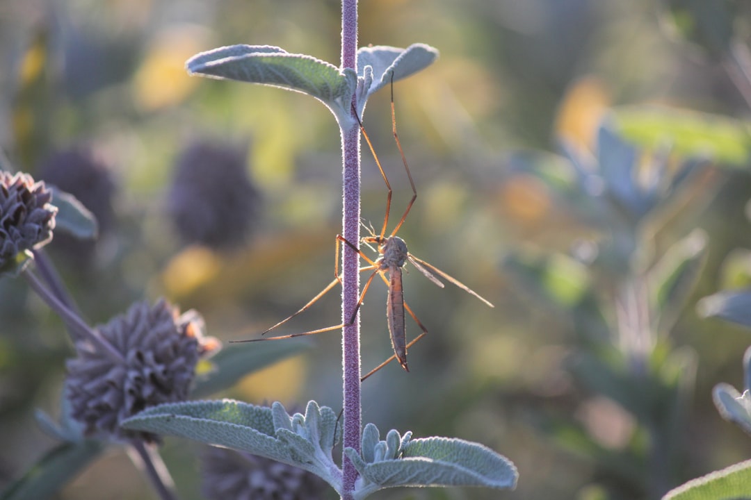 Speranta TV | DEVOȚIONAL: FĂRĂ TEAMĂ