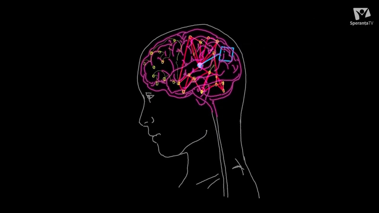 Conectat la cer: Poate un om să se schimbe cu adevărat? | Daiana Miclea