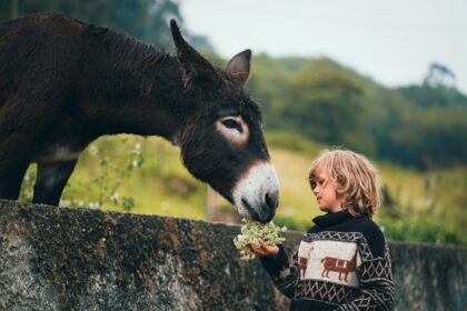 Speranta TV | DEVOȚIONAL: ALTRUISM ȘI AMABILITATE