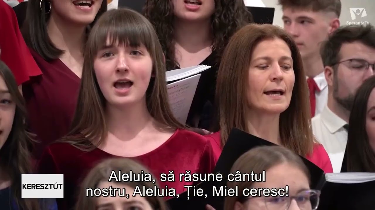 Merj más lenni (II) | Jankó Kristóf