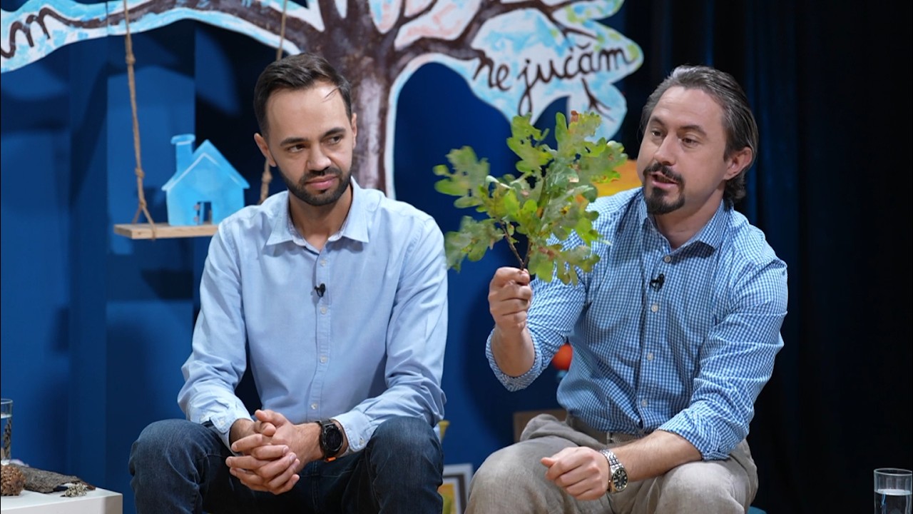 Căsuța cu idei | În lumea arborilor | Aurel Năsulea și Ioan Pascu